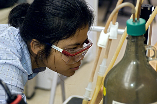 Ratsirin (Prea) Supcharoen, Summer Student Fellow in Matt Charette's laboratory