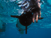 Underwater release of a REMUS in Belize.
