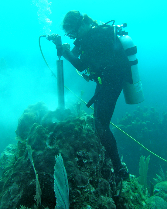 Diver underwater coral coring in Honduras