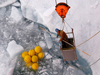 John Kemp is lowered by the ship's crane to hook a group of floats