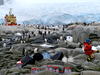 Graduate Student Brenna McLeod takes advantage of brief shore leave on Peterman Island, Antarctica, to visit with the locals.