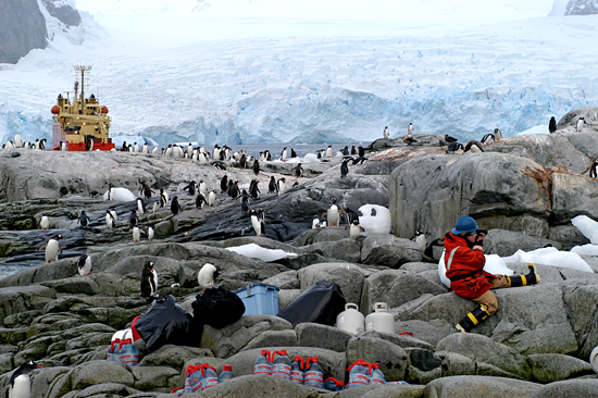 Graduate Student Brenna McLeod takes advantage of brief shore leave on Peterman Island, Antarctica, to visit with the locals.