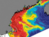 WHOI scientists created a computer simulation of the historic 2005 toxic algae bloom in New England.