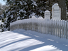 Snow covered WHOI pet cemetery.