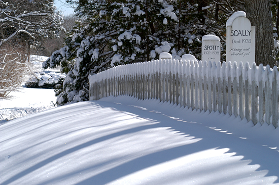 Snow covered WHOI pet cemetery.