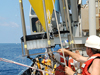 Sediment trap recovery operations