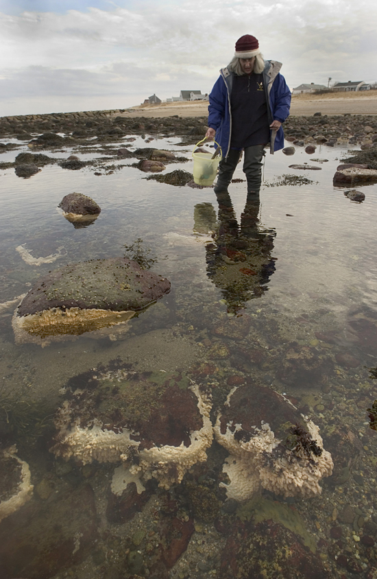 WHOI Research Associate Mary Carman