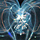  Jellyfish & Zooplankton