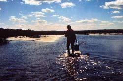 Shellfish Harvests
