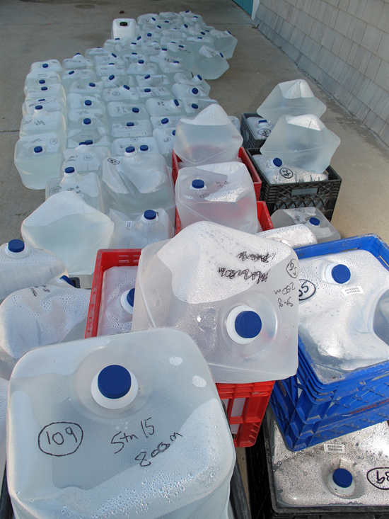 water samples