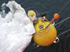 arctic winch