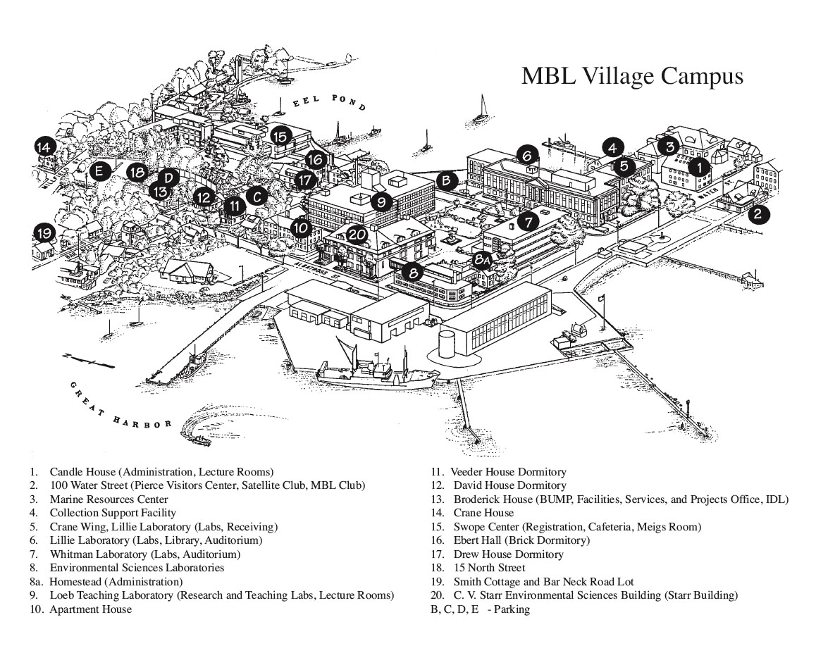 woods hole map