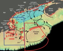 Transport Map