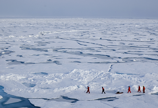 The survey team returning to the ship.