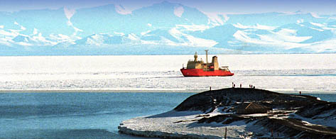 Antartic