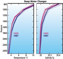Deep Water bermuda Plots