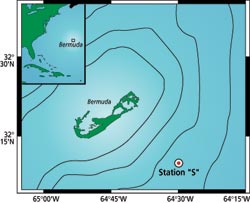 Station Location