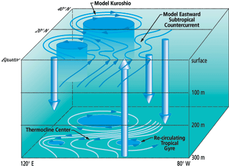 Weather pathways in the North Pacific subtraopical/tropical  upper ocean