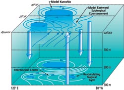 Weather pathways in the North Pacific subtraopical/tropical upper ocean