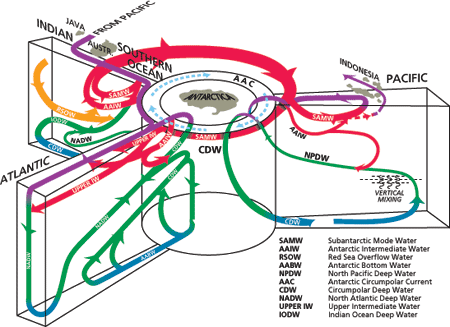 Circulation schematic of the world?s major water masses