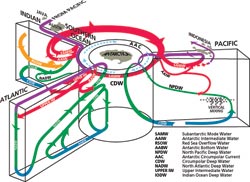 Circulation schematic of the world??A???A?s major water masses