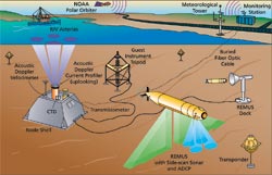 Seafloor Observatories