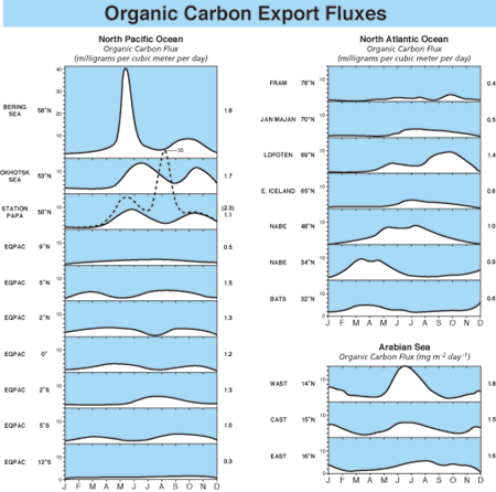 Organic Carbon Export Flux