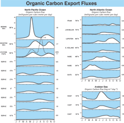 Organic Carbon Export Flux