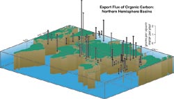 Export Flux