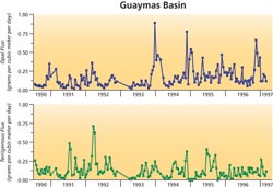 Guaymas Basin