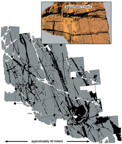 BOLO Map