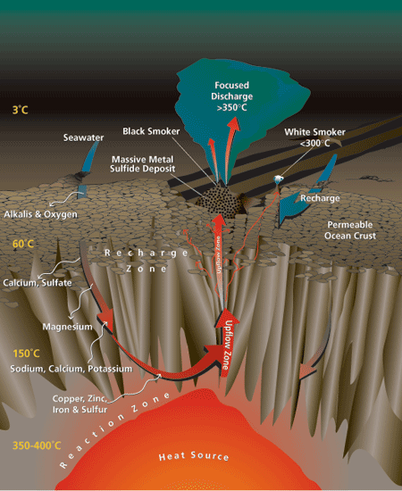 Circulation System