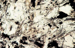 Thin Section