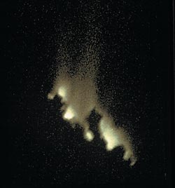 First Image