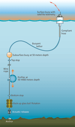 Buoy System