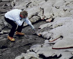 Stan Hart Collecting Samples