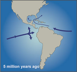 5 million years ago panama plate converges