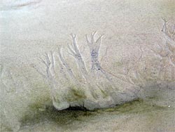Teams of scientists study seafloor core sample