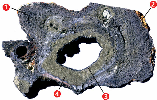 cross section