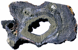 cross section