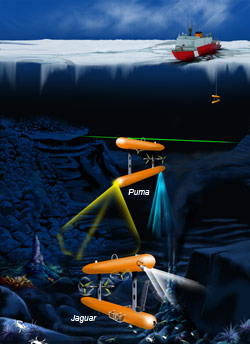Puma and Jaguar are autonomous underwater vehicles (AUVs) designed to overcome the technical challenges that now preclude under-ice operations