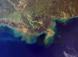 satellite image shows the flood of sediment pouring out of the Mississippi River into the Gulf of Mexico