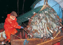 Most of the world’s great fisheries lie in coastal waters