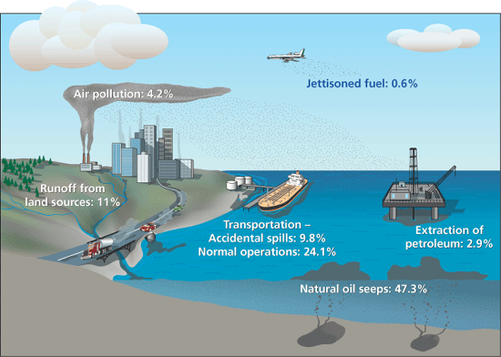 Sources Of Oil
