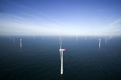 Horns Rev wind farm is the world’s largest.