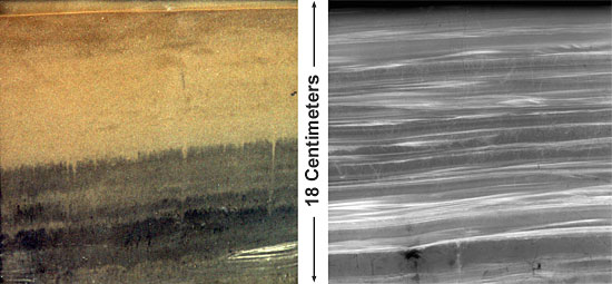 Photograph (left) and x-ray image (right) of sediments from a region of rapid deposition in the Hudson estuary.