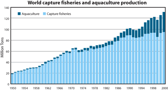 world capture fisheries and aquaculture production