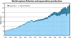 world capture fisheries and aquaculture production