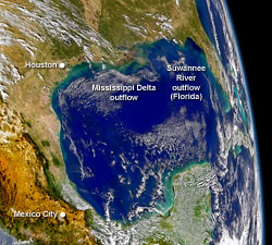 On Nov. 7, 2004, a satellite captured the outflow of river sediments and dissolved nutrients into the Gulf of Mexico, as well as the abundance of algae and phytoplankton in the water.