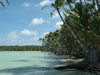 PIPA nikumaroro atoll